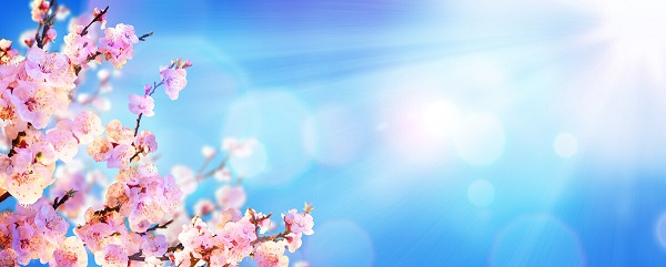 戰(zhàn)疫情，北京韋林公司全體員工齊心協(xié)力共克時(shí)艱！
